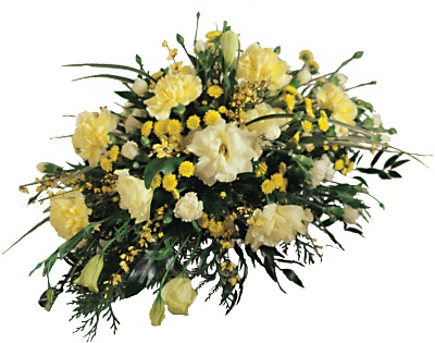 White and Yellow Posy