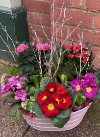 Large colourful planter